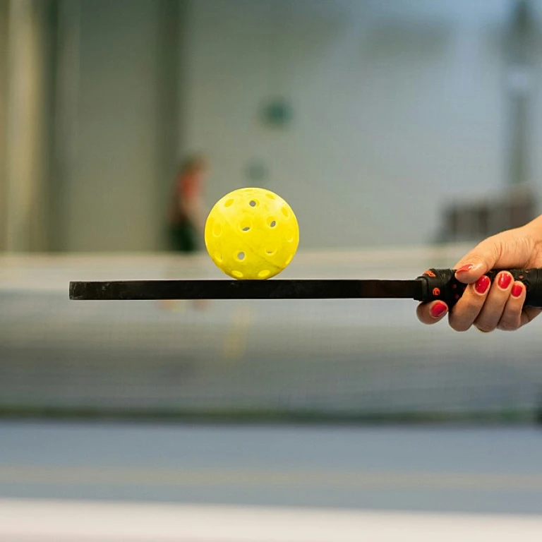 Understanding the Dimensions of a Pickleball Court