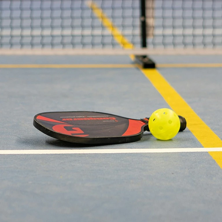 A guide to choosing the top pickleball paddles