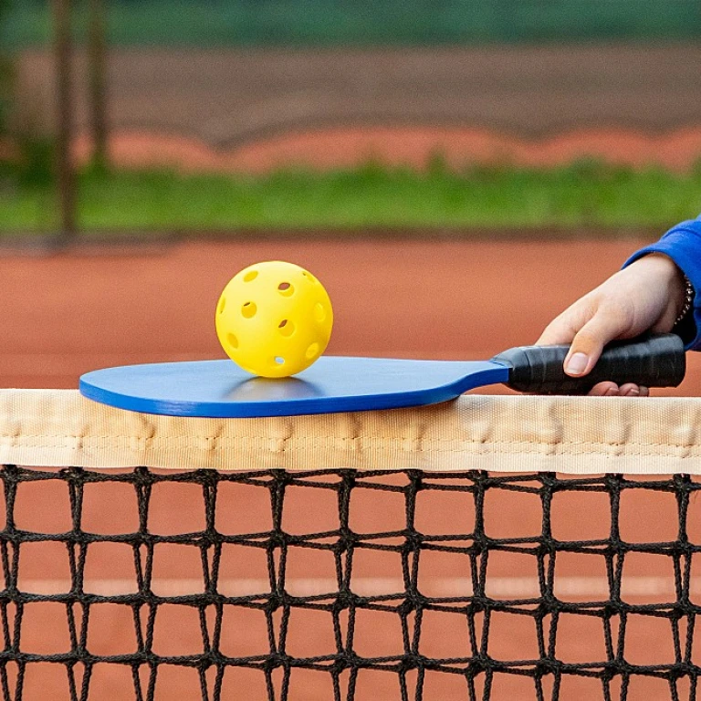 Exploring the Benefits of Trying Out Pickleball Paddles