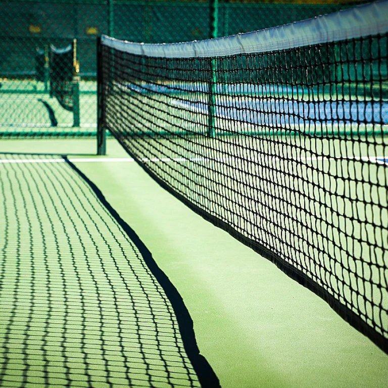 Crbn pickleball: mastering the game with cutting-edge carbon fiber paddles