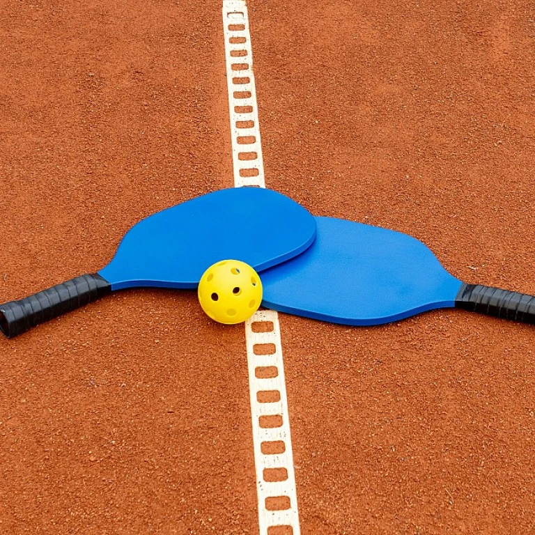 Exploring the Appeal of Short Handled Pickleball Paddles