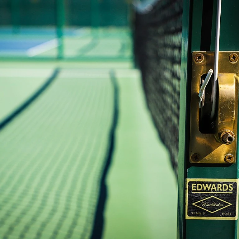 The Allure of Prince Pickleball Paddles